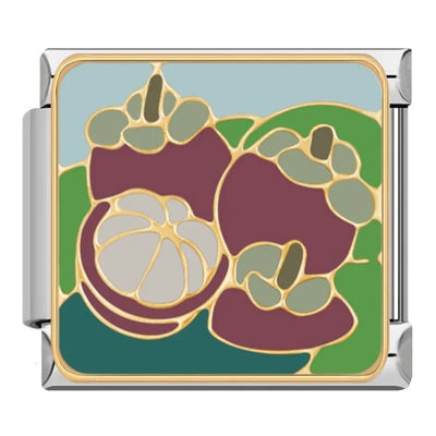 Mangosteen