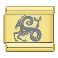 Capricorn