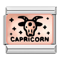 Capricorn