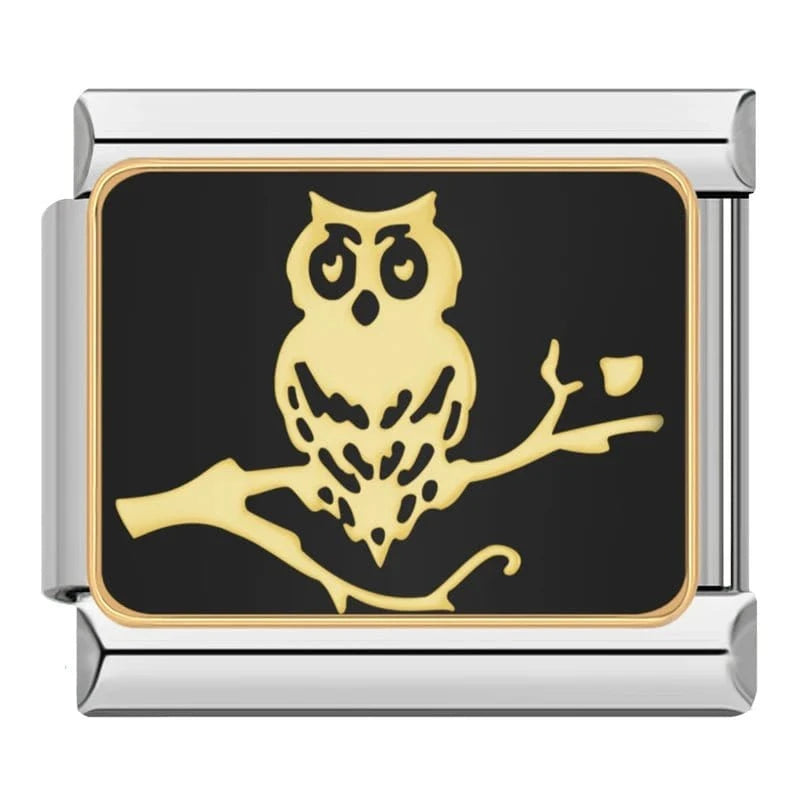 Owl on Branch