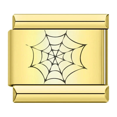 Spider Web