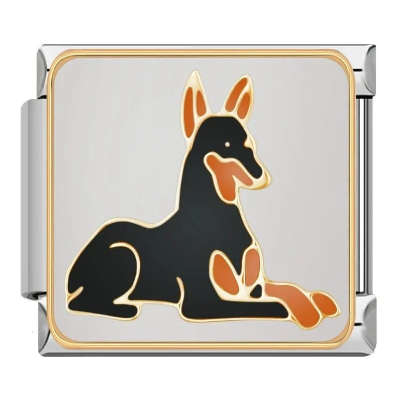 Doberman Lying Down