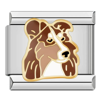 Sheltie