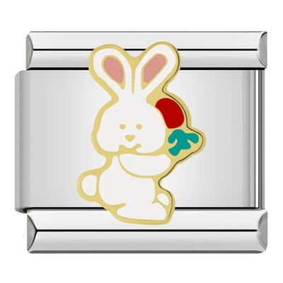 Rabbit & Carrot