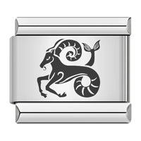 Capricorn