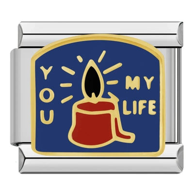 You Light Up My Life